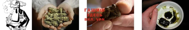 гашик Алзамай