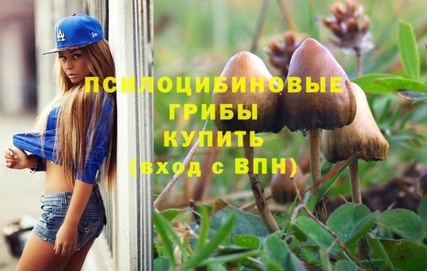 гашик Алзамай