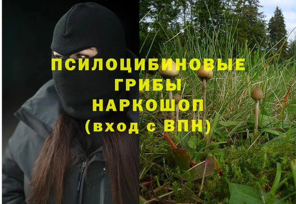 прущая мука Алексеевка
