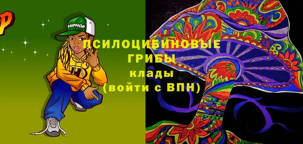 гашик Алзамай
