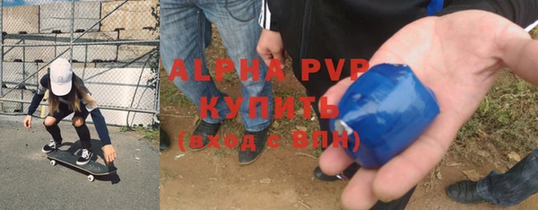 гашик Алзамай
