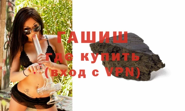 гашик Алексин