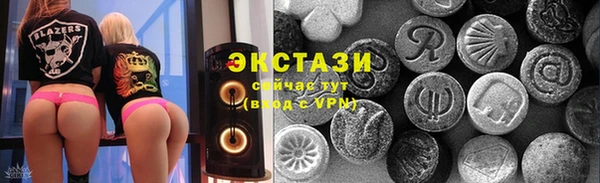 гашик Алексин