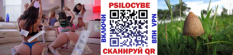 Галлюциногенные грибы Psilocybe  Купить где  Семикаракорск 